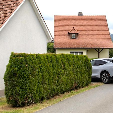 Flat Bull Appartement Mit Garten Sankt Lorenzen bei Knittelfeld Eksteriør billede