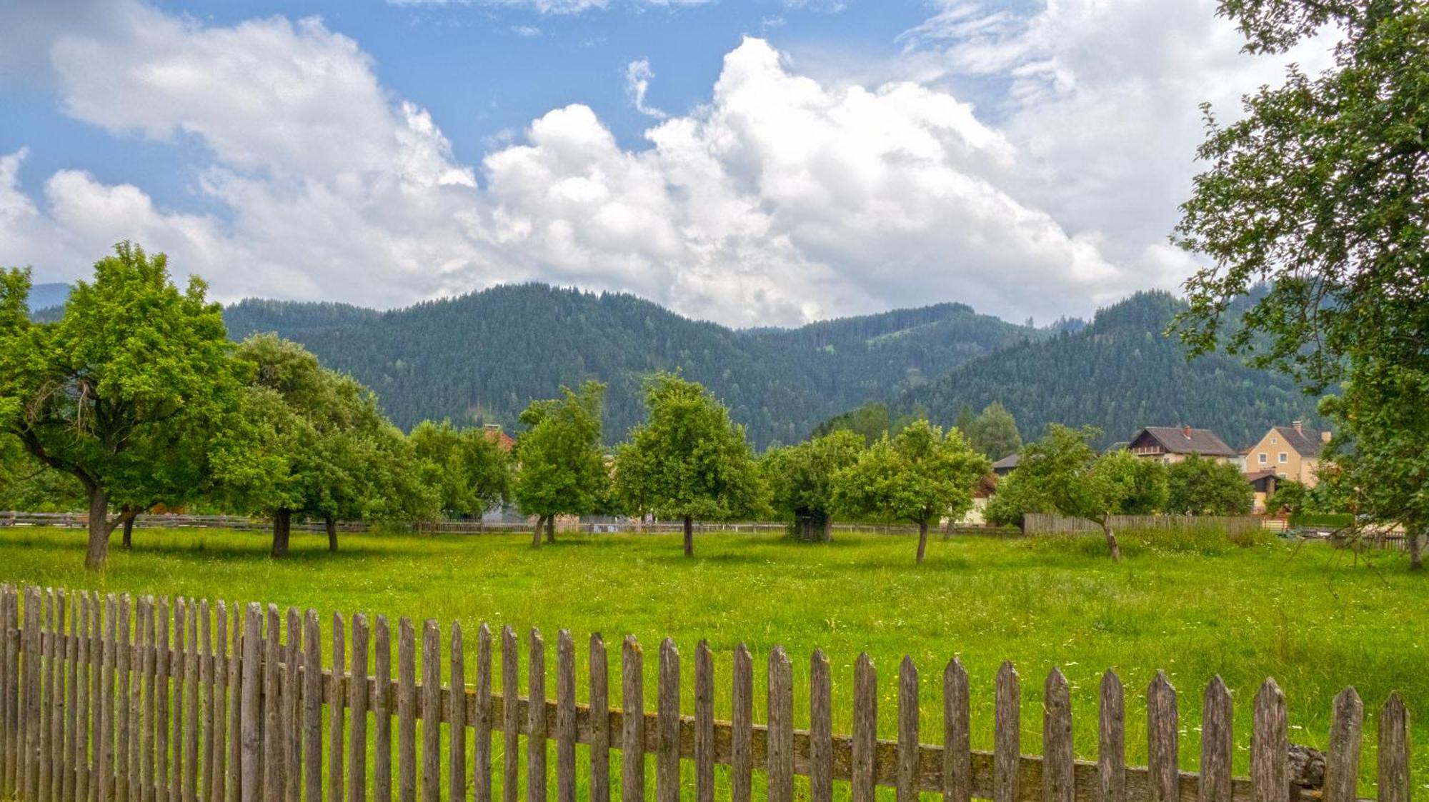 Flat Bull Appartement Mit Garten Sankt Lorenzen bei Knittelfeld Eksteriør billede